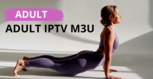 IPTV adultes en France